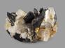 Вольфрамит с топазом, сросток кристаллов 7,3х5,1х4,5 см, 12478, фото 2