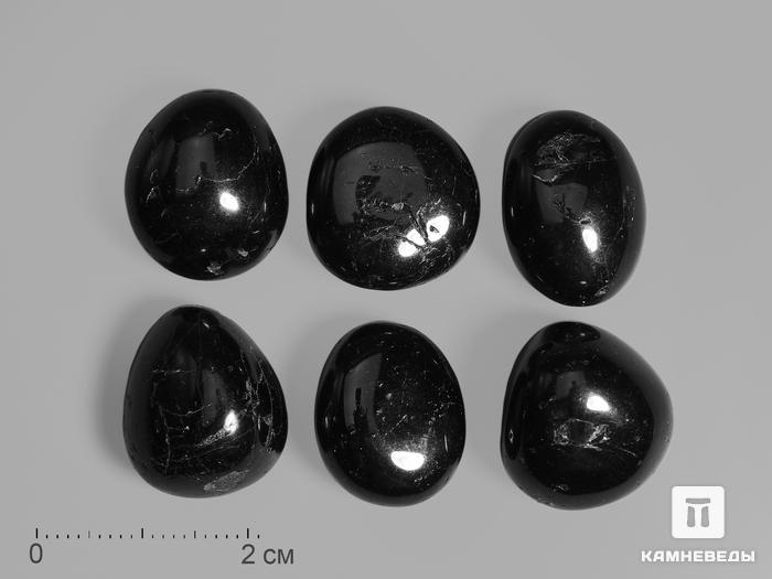 Шерл (чёрный турмалин), галтовка 1,5-2 см, 14146, фото 1