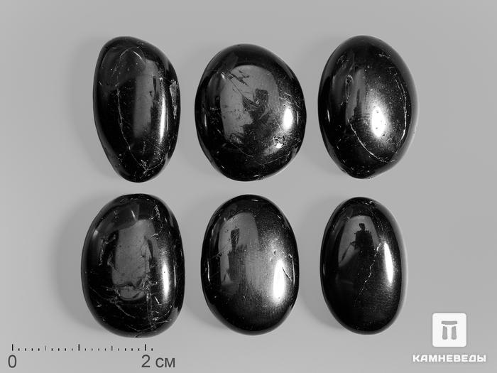 Шерл (чёрный турмалин), галтовка 2-2,5 см, 14147, фото 1