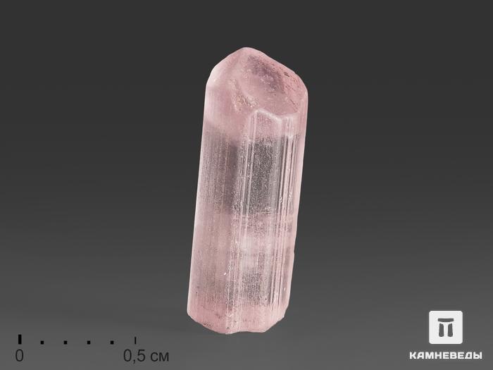 Турмалин (рубеллит), кристалл 1,2х0,4х0,5 см, 8274, фото 1