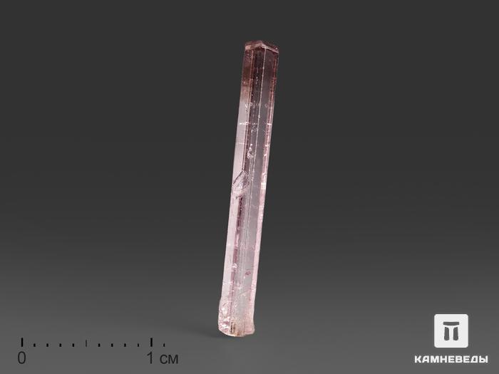 Турмалин (рубеллит), кристалл 2,3х0,3х0,3 см, 13953, фото 1