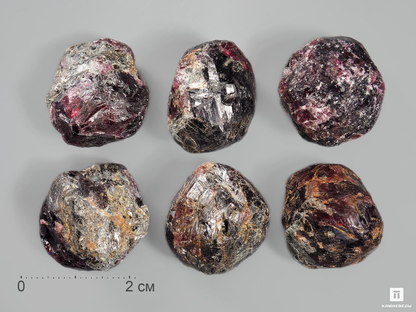 Гранат (альмандин), кристалл 2-2,5 см, цена - 620 руб