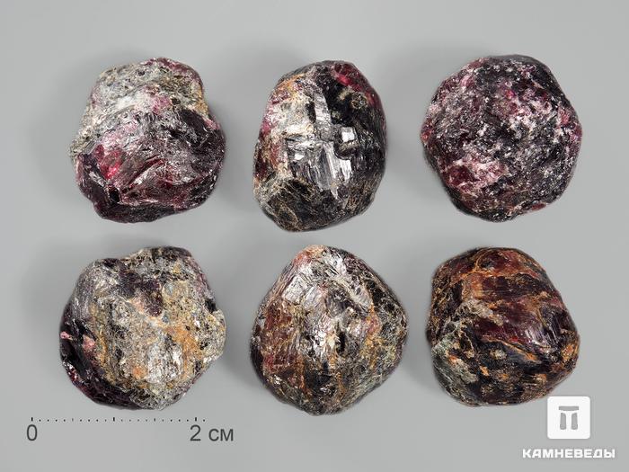 Гранат (альмандин), кристалл 2-2,5 см, 13206, фото 1