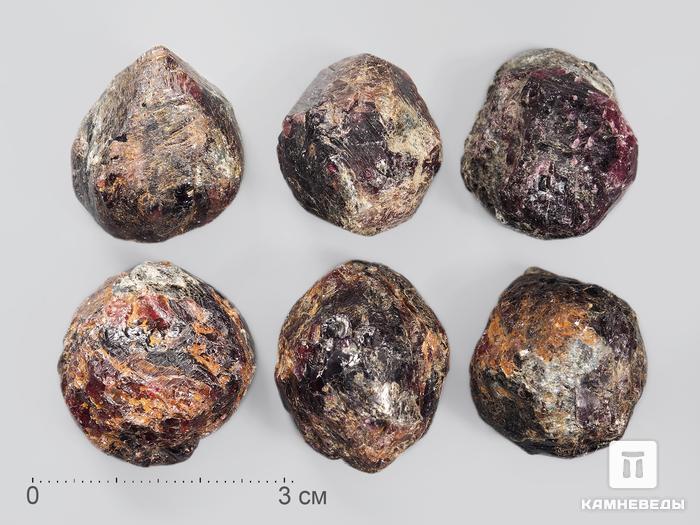Гранат (альмандин), кристалл 2-3 см, 13211, фото 1