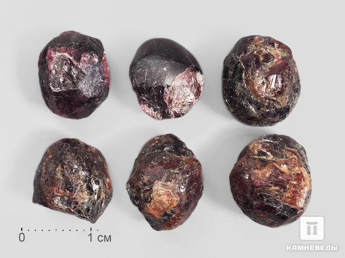 Гранат (альмандин), кристалл 1-1,5 см, 13200, фото 1