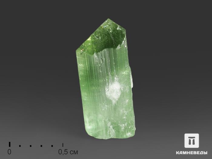 Турмалин (верделит), кристалл 1х0,4х0,4 см, 9852, фото 1