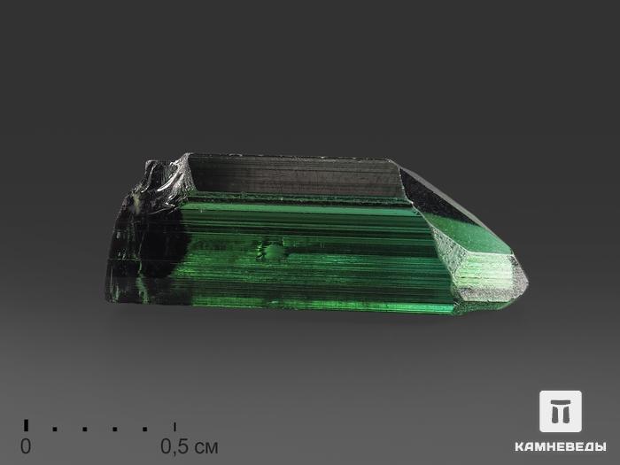 Турмалин (верделит), кристалл 1,4х0,5х0,4 см, 13955, фото 1