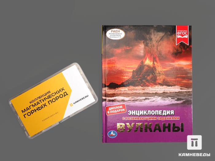 Подарочный набор для детей (книга + коллекция горных пород), 14329, фото 2