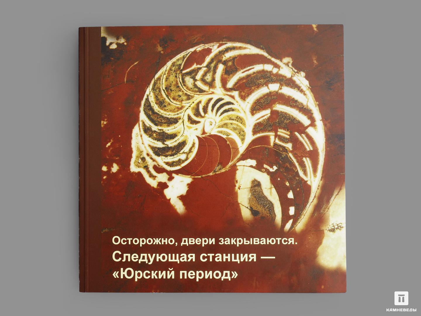 Осторожно двери закрываются следующая станция новый год. Осторожно двери закрываются книга.