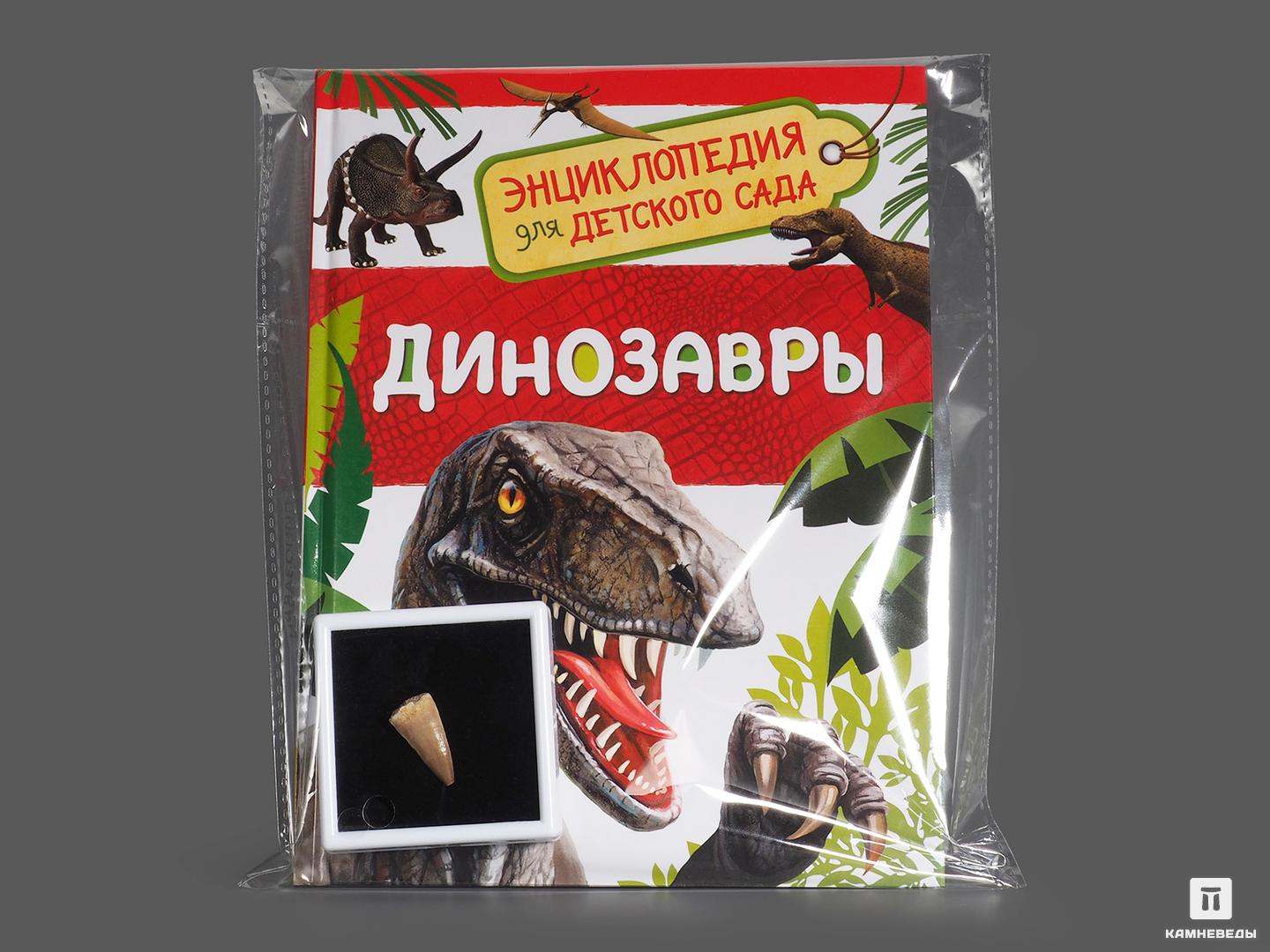 Подарочный набор для детей (книга + зуб мозазавра) увлекательная бионика