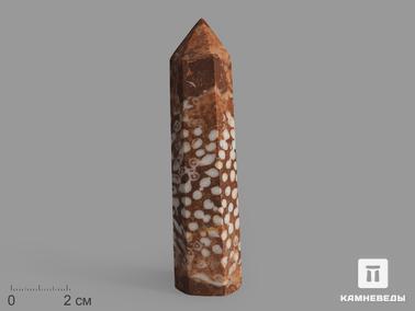 Кораллы. Коралл в форме кристалла, 9-10 см (90-100 г)