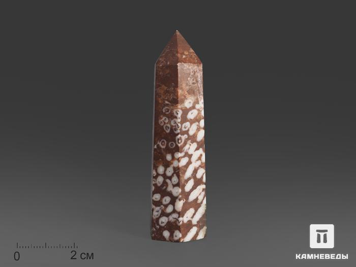 Коралл в форме кристалла, 9-9,5 см (100-110 г), 14428, фото 1