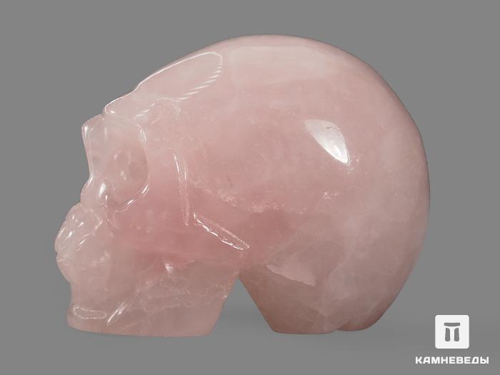 Череп из розового кварца, 5х3,8х3,2 см, 14421, фото 3