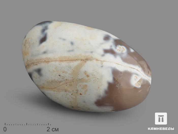 Халцедон «змеиная кожа», полированная галька 6,5-7 см (140-160 г), 14452, фото 1