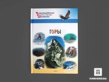 Книга: Иллюстрированная энциклопедия школьника «Горы»