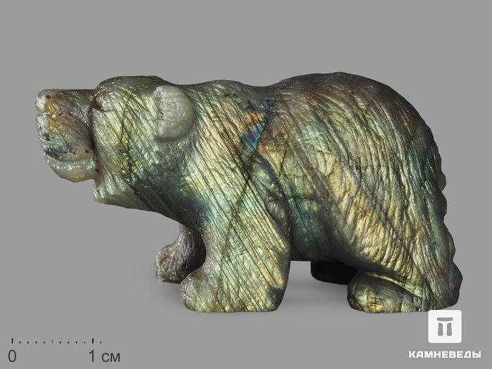 Медведь из лабрадора, 5,3х3х2,6 см, 12240, фото 1