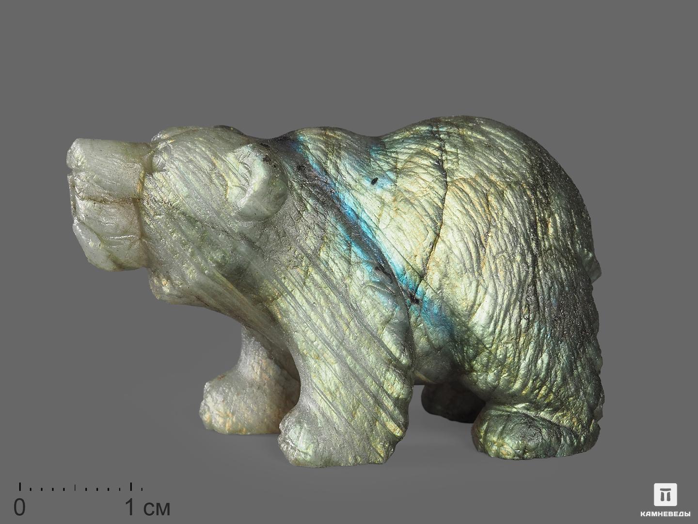 Медведь из лабрадора, 5,1х3х2,4 см, 14470, фото 1