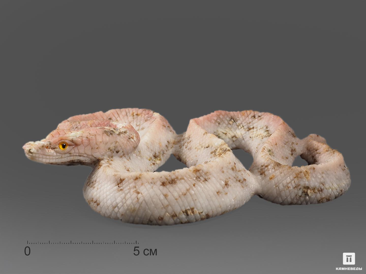 Змея из ангидрита с гипсом, 15х13х3 см, 14500, фото 1