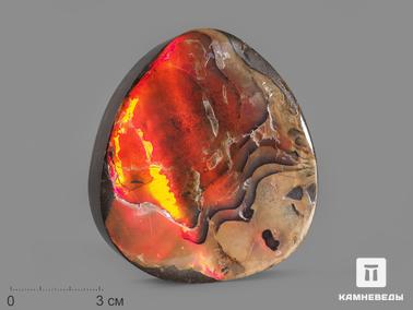 Аммолит. Аммолит (ископаемый перламутр аммонита), 8,3х7,6х1,8 см