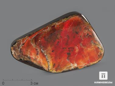 Аммолит. Аммолит (ископаемый перламутр аммонита), 10,3х6,6х1,4 см