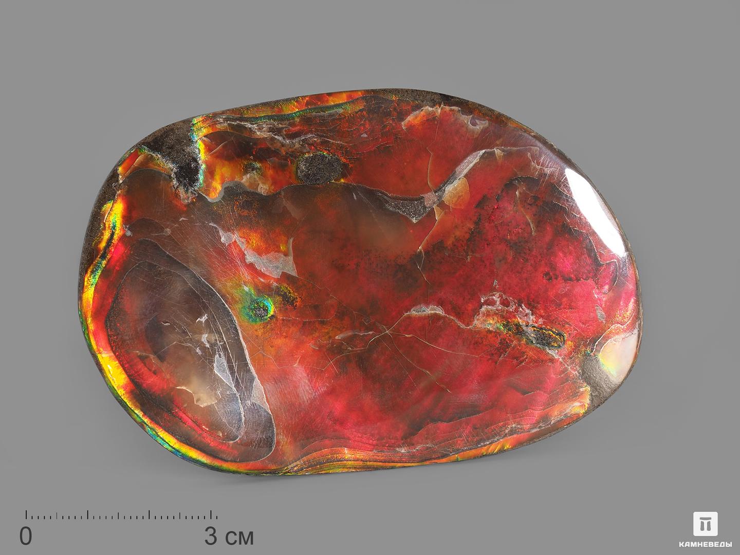 Аммолит (ископаемый перламутр аммонита), 9,5х6,2х1,2 см фигура голуби на сердце перламутр 20х16х17см