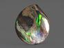 Аммолит (ископаемый перламутр аммонита), 7,8х7,6х1,6 см, 14747, фото 2