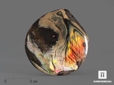 Аммолит. Аммолит (ископаемый перламутр аммонита), 7,8х7,6х1,6 см