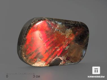 Аммолит. Аммолит (ископаемый перламутр аммонита), 8,6х5,3х1,5 см
