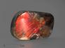 Аммолит (ископаемый перламутр аммонита), 8,6х5,3х1,5 см, 14748, фото 1