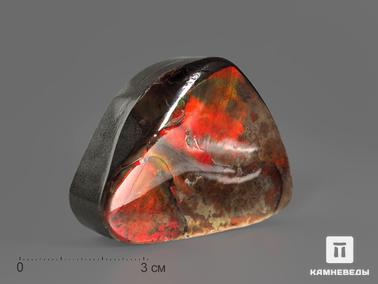 Аммолит. Аммолит (ископаемый перламутр аммонита), 7,1х3,5х1,3 см