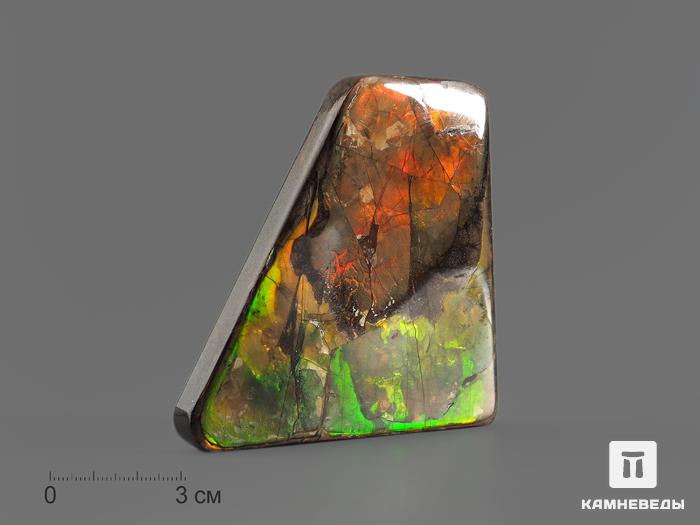 Аммолит (ископаемый перламутр аммонита), 7,7х7,5х1 см, 14751, фото 1
