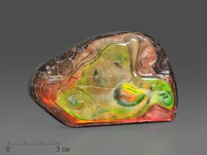 Аммолит (ископаемый перламутр аммонита), 9,2х6,8х0,5 см