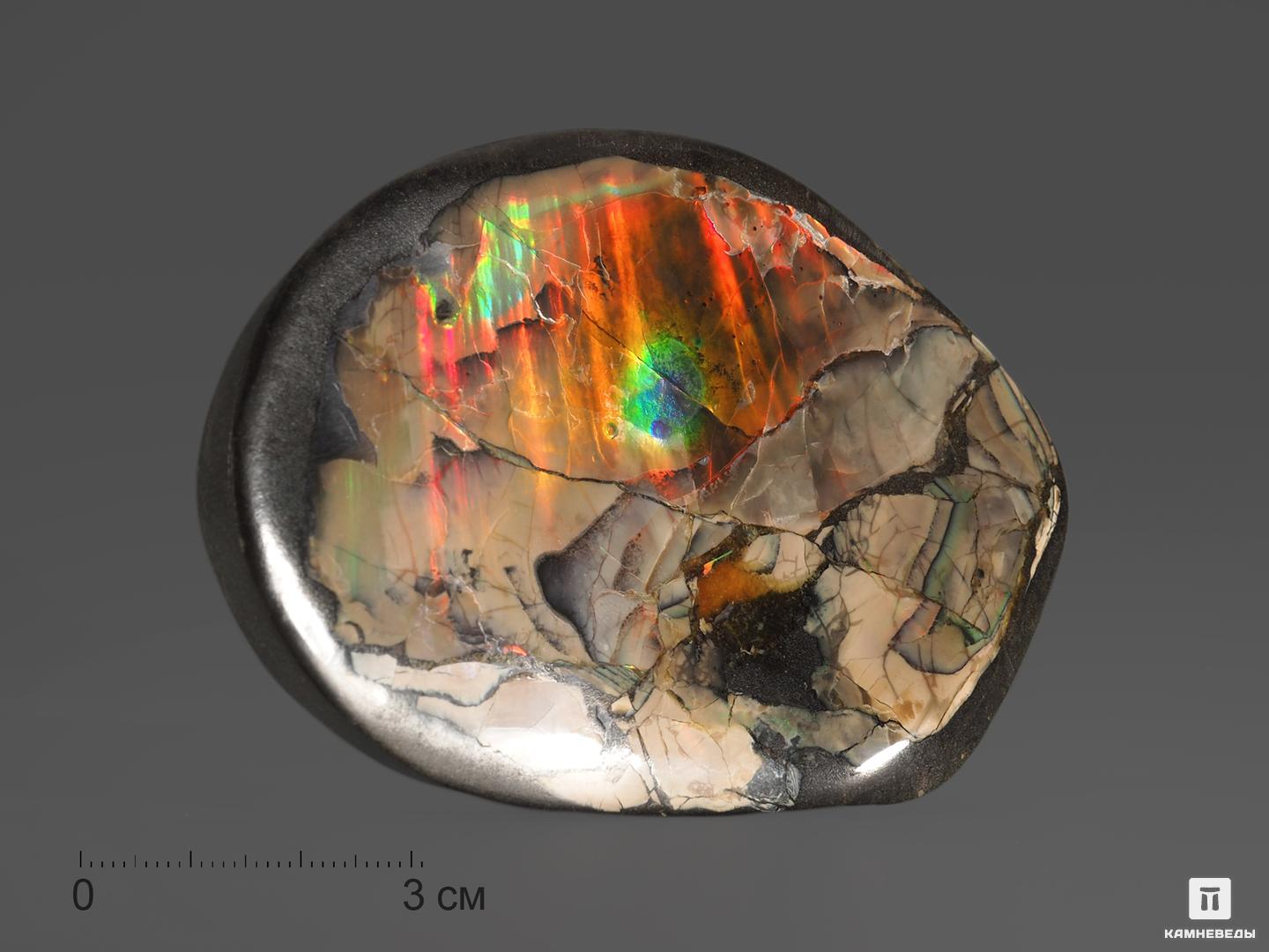 Аммолит (ископаемый перламутр аммонита), 8,6х5,8х1,6 см фигура голуби на сердце перламутр 20х16х17см