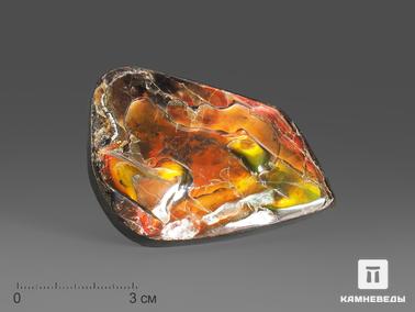 Аммолит. Аммолит (ископаемый перламутр аммонита), 6,4х4,8х1 см