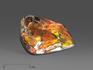 Аммолит (ископаемый перламутр аммонита), 6,4х4,8х1 см, 14750, фото 1