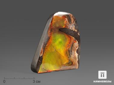 Аммолит. Аммолит (ископаемый перламутр аммонита), 5,8х5,2х1 см
