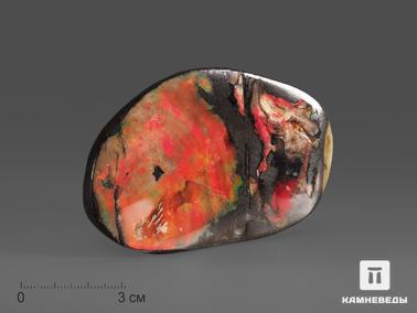 Аммолит. Аммолит (ископаемый перламутр аммонита), 8,4х5х0,6 см
