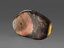 Аммолит (ископаемый перламутр аммонита), 8,4х5х0,6 см, 14744, фото 2