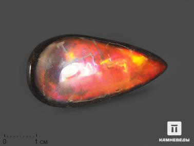 Аммолит. Аммолит (ископаемый перламутр аммонита), 3,6х2,1х0,3 см