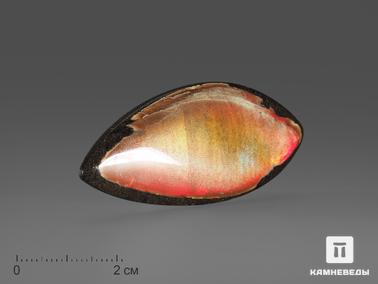 Аммолит. Аммолит (ископаемый перламутр аммонита), 4,8х2,1х0,4 см