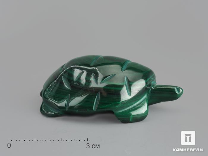 Черепаха из малахита, 6х4х2 см, 23-46/20, фото 1