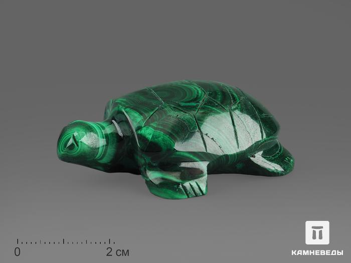 Черепаха из малахита, 5,7х4,5х2,1 см, 643, фото 1