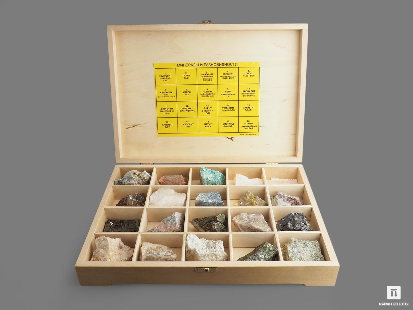 Коллекция минералов и разновидностей (20 образцов, состав №6) в деревянной коробке потерял сознание очнулся гипс