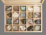 Коллекция минералов и разновидностей (20 образцов, состав №6) в деревянной коробке, 15198, фото 2