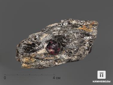 Гранат, Альмандин. Альмандин (гранат) в метаморфическом сланце, 7,1х3,6х2,3 см