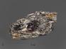 Гранат (альмандин) в метаморфическом сланце, 7,1х3,6х2,3 см, 15020, фото 1