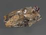 Гранат (альмандин) в метаморфическом сланце, 7,1х3,6х2,3 см, 15020, фото 2
