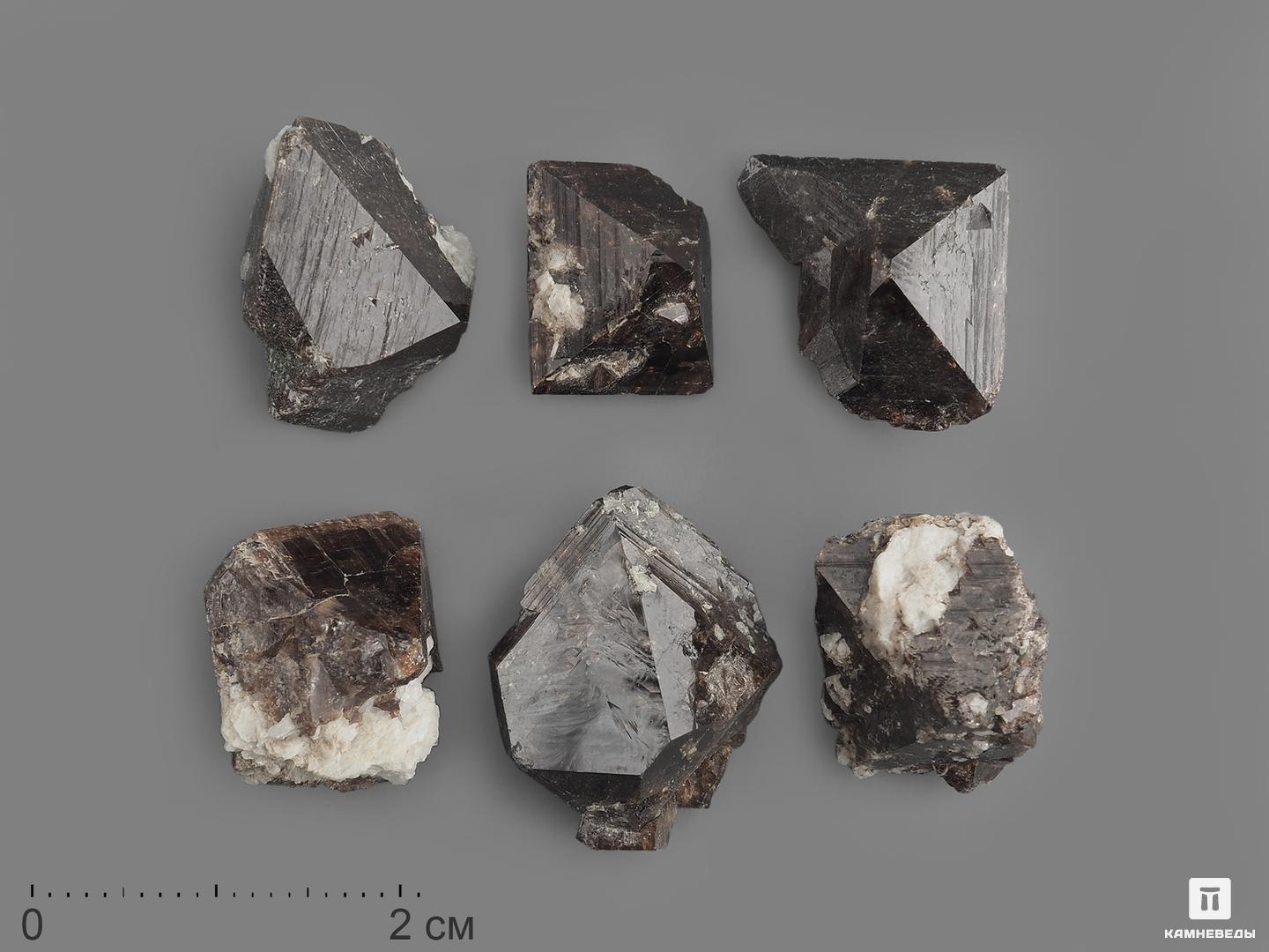Циркон, кристалл 2-2,5 см циркон кристаллы в породе 3 6 см