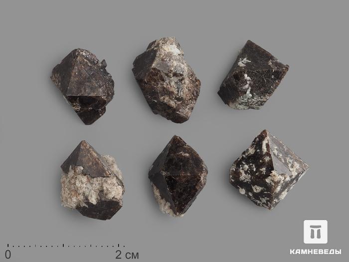 Циркон, кристалл 1,5-2 см, 13261, фото 1