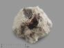 Циркон, кристалл на породе в пластиковом боксе, 2-4 см, 10-61/4, фото 1